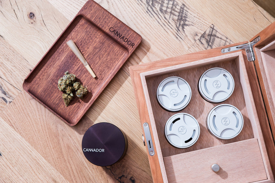 Guide To Storing Cannabis: How To Choose A Top Quality Storage Box For Your Weed