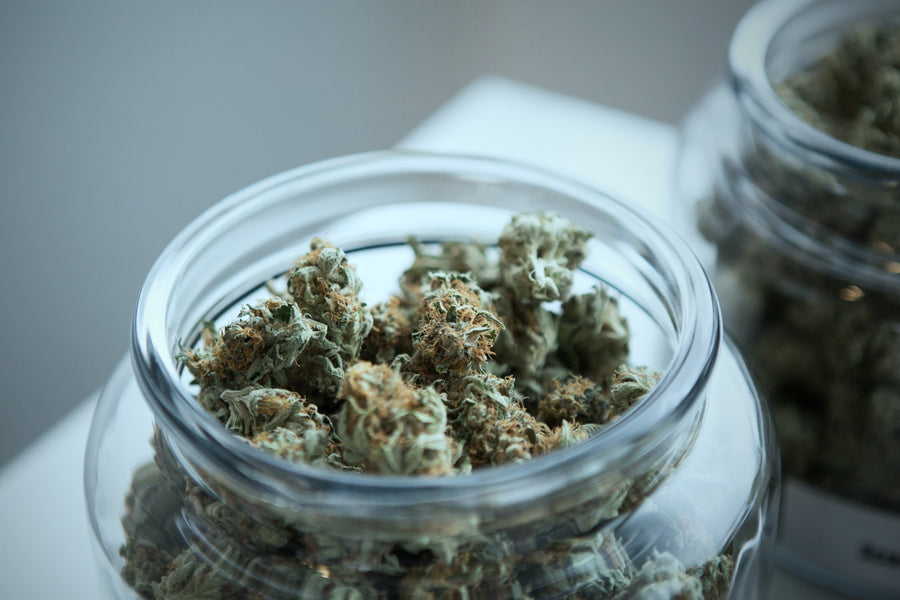 How to Find the Best Weed Jar to Keep Your Cannabis Fresh